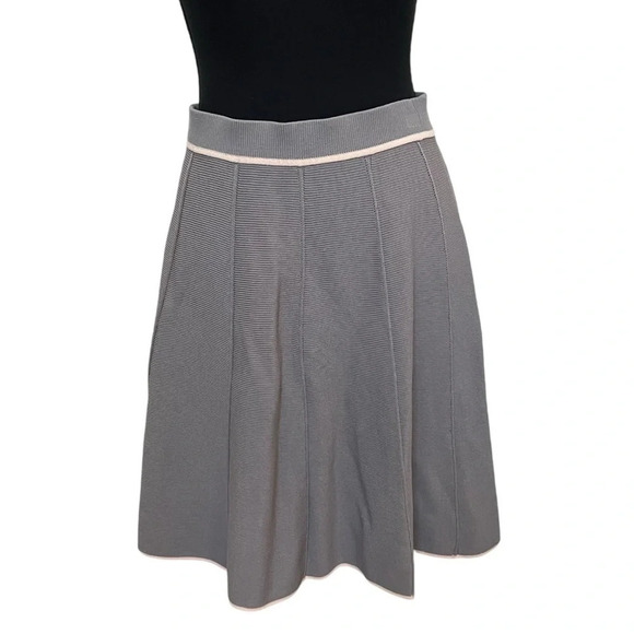 Joie Pleated Skirt with Pink Trim Gray Size Small - Picture 1 of 6